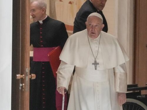 Papa Francesco, l'attacco clamoroso del capo dei vescovi tedeschi: "Sconcerto"
