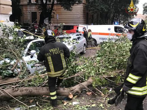 Ramo cade sul parabrezza. L'auto sbanda e va a sbattere. Centinaia di interventi a Roma