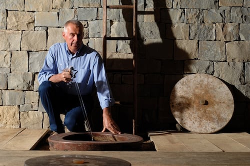 Gravner, il vignaiolo che pianta boschi
