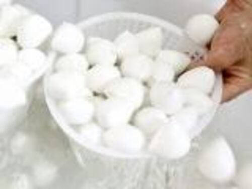Una "bufala" di mozzarella