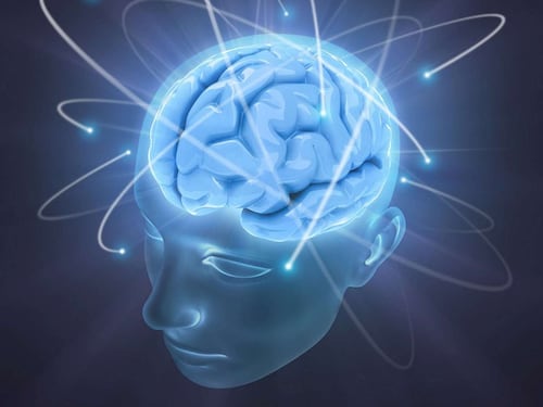 Il gotha delle neuroscienze al congresso "Michela Bonamini"