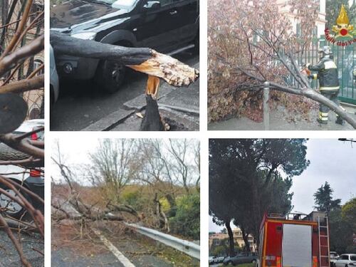 Dopo le buche, gli alberi: nella Capitale crolla tutto