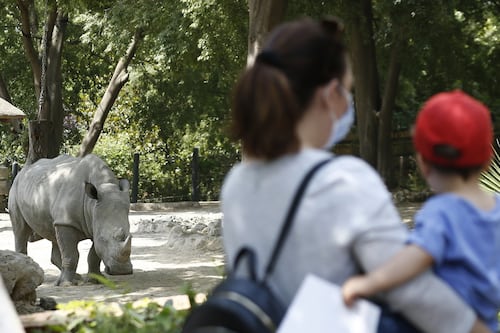 Numero chiuso e mascherina, così riapre il Bioparco