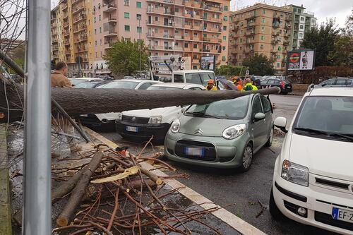 A Roma rami spezzati e metro allagata. Ad Acilia albero si abbatte su auto e ferisce una donna
