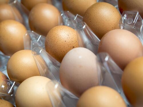 Uova, trovati anche in Italia campioni contaminati dal Fipronil