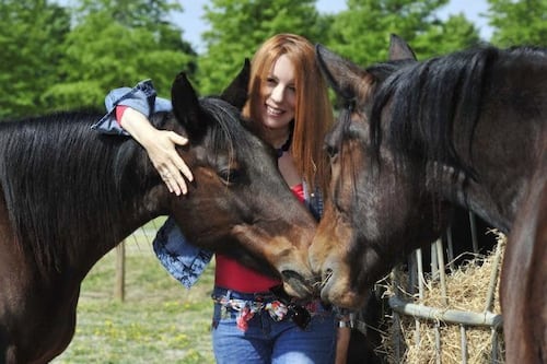 "I cavalli non si mangiano": al via alla Camera l'iter della Pdl Brambilla sugli equidi come animali d'affezione