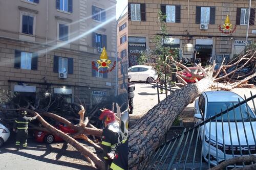 Roma, crolla un albero su via Tiburtina: due pedoni feriti e cinque auto danneggiate