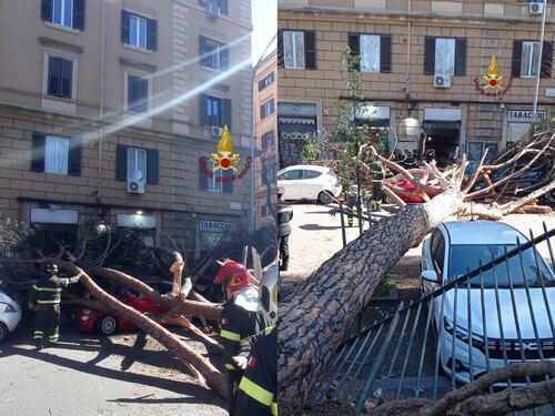 Roma, crolla un albero su via Tiburtina: due pedoni feriti e cinque auto danneggiate