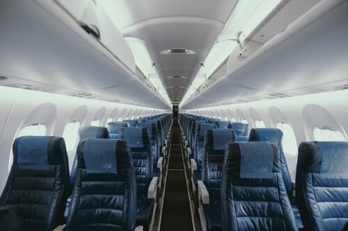 Cani grandi e medi in aereo accanto al padrone, si parte: la data del primo volo