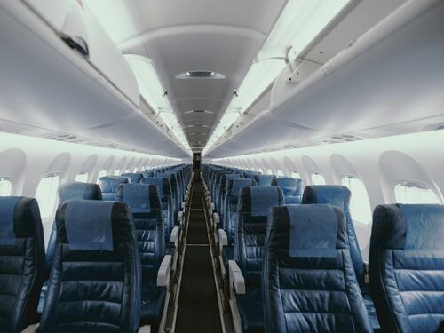Cani grandi e medi in aereo accanto al padrone, si parte: la data del primo volo