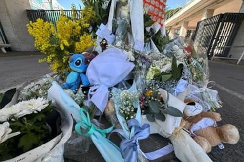 Addio al piccolo Domenico, Forza Italia: "Subito una commissione d'inchiesta per trovare la verità"
