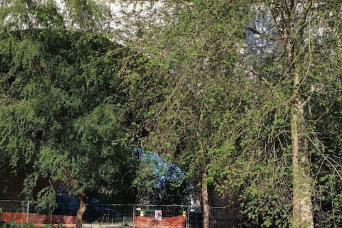 Ponte Milvio, altro affaccio sul Tevere "vittima" della piena. Va smantellata la pedana