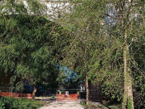 Ponte Milvio, altro affaccio sul Tevere "vittima" della piena. Va smantellata la pedana