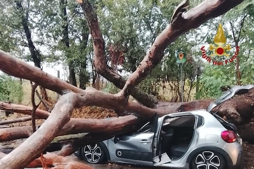Roma impreparata al maltempo: alberi caduti e stazioni metro chiuse