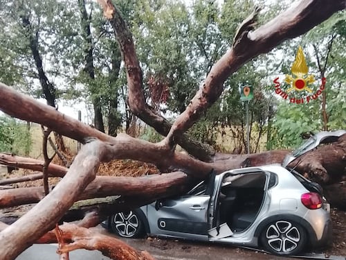 Roma impreparata al maltempo: alberi caduti e stazioni metro chiuse