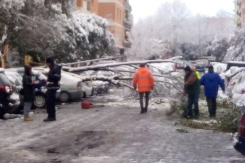 Roma sommersa dalla neve, crollano gli alberi: tragedia sfiorata al parco Testaccio