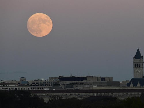Tutti con il naso all'insù, c'è la Superluna