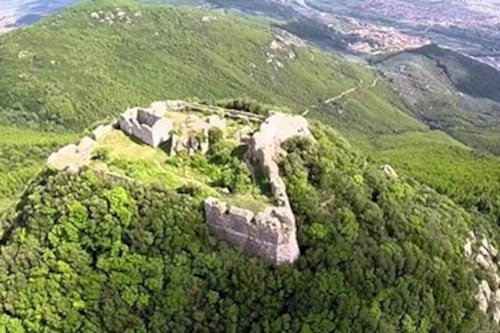 Una firma per far rinascere i prodotti del Monte Pisano