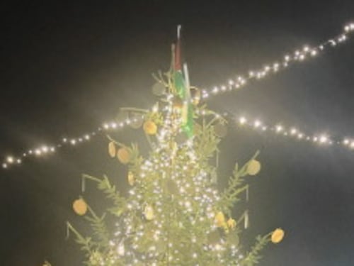 Albero di Natale con bandiera della Palestina, bufera sul comune fiorentino (che ha premiato la Albanese...)
