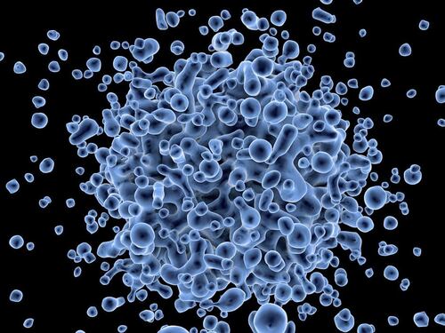 Caccia al vaccino contro Malattia X, il super virus pandemico dopo il Covid