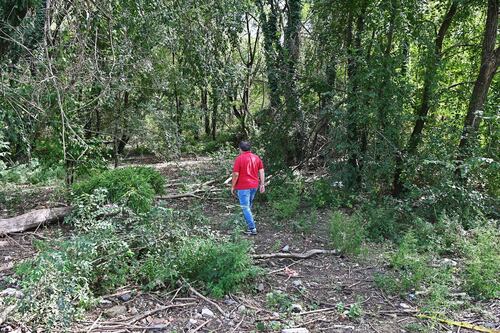 Torino, ragazzino di 12 anni denuncia abusi sessuali nel parco dell'Arrivore