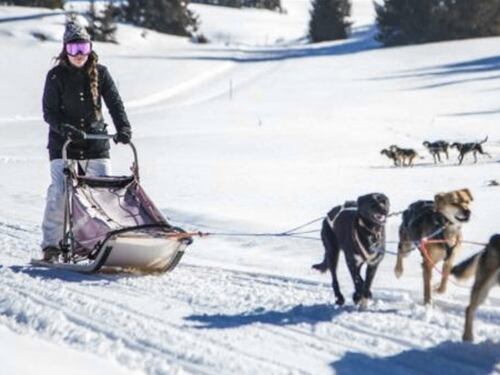 Vacanze bianche, tutti sulla neve in slitta o in carrozza