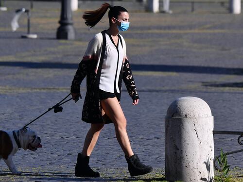 Viva i cani e il loro naso contro il Coronavirus