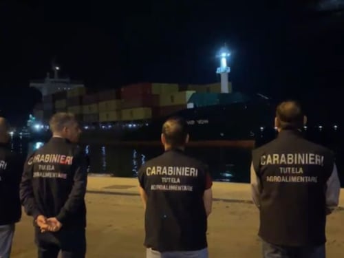 Salerno, attracca un cargo cinese. Lollobrigida assicura: "Solo alimenti sicuri"