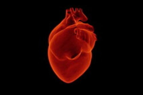 Infarto, quale pesce riduce i rischi: lo studio su quale fa bene al cuore
