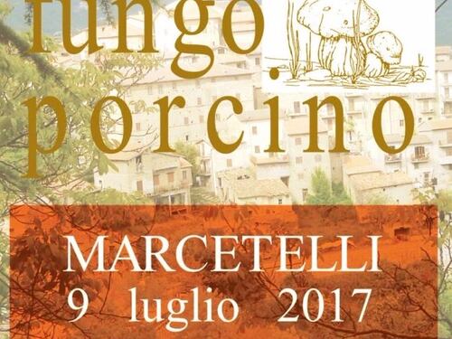 “Sua Maestà” il fungo porcino protagonista a Marcetelli