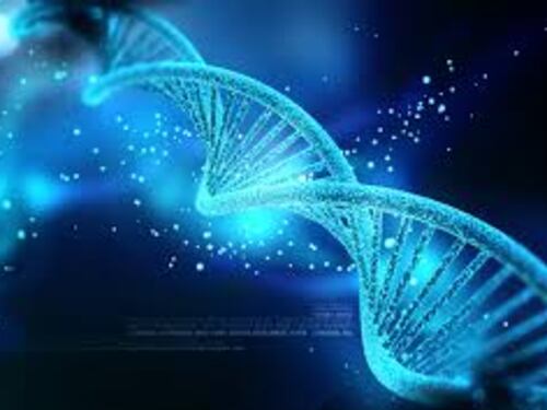 Modificato il Dna di embrioni umani per prevenire la malattia dei figli