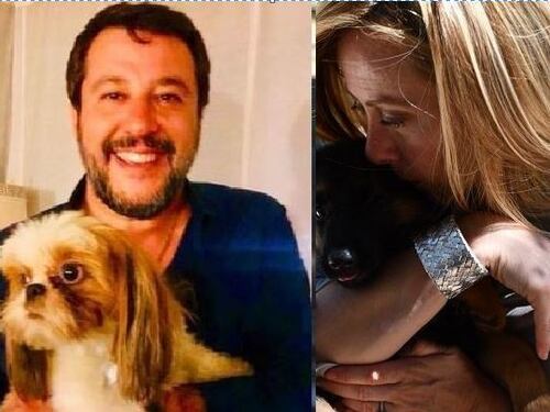 Meloni e Salvini, i due politici che mostrano il loro amore per i cani