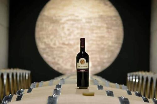 Radici culturali e natura: il segreto del vino de “La Regola”