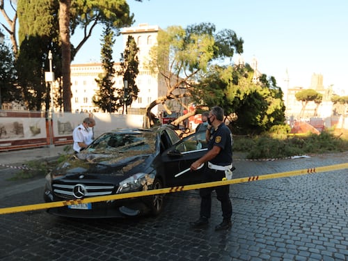 Roma, la donna schiacciata dal pino a piazza Venezia: "Quasi uccisa e abbandonata dal Comune"