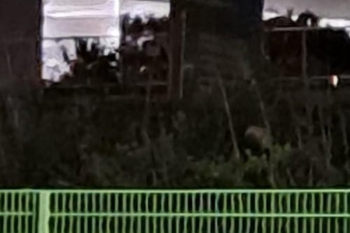 Malagrotta, ora in discarica è allarme biogas. Cosa ha scoperto l'Arpa