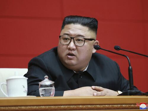 Nord Corea, Kim Jong Un confisca i cani domestici. La denuncia: finiscono nei ristoranti
