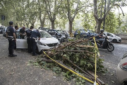 Roma, crolla albero sul Lungotevere. Feriti e automobili distrutte