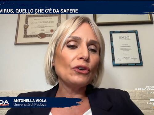 In Onda, la profezia della virologa Viola su Hantavirus: "Non rischiamo una nuova pandemia"