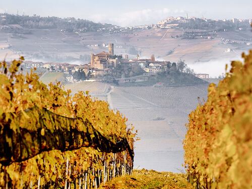 Langhe, Roero e Monferrato: distese collinari, antichi borghi e castelli arroccati