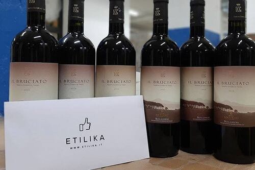 Trotta (Etilika.it): "Riorganizzazione e sicurezza così ho battuto il virus"