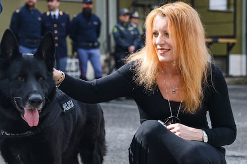 Animali, la legge Brambilla funziona: "Vittoria di civiltà". Il primo bilancio
