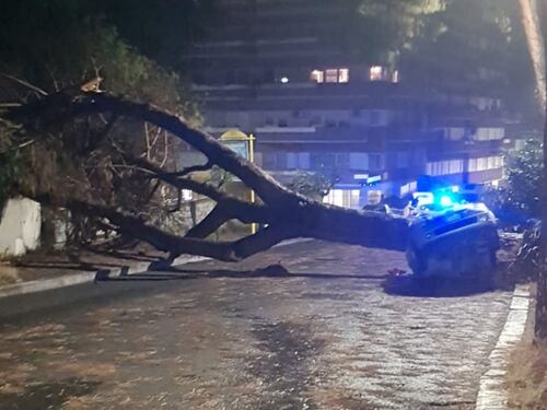 A Roma c'è il nubifragio. E gli alberi si abbattono sulle auto