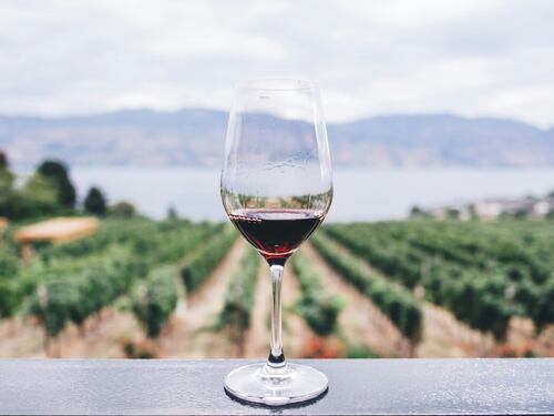 Vini naturali, biologici e biodinamici: quali sono le differenze