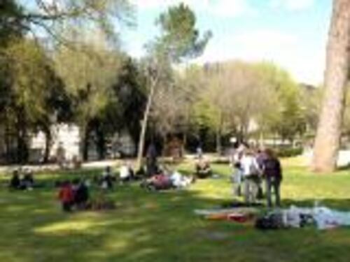 Cade albero a villa Borghese, 2 feriti