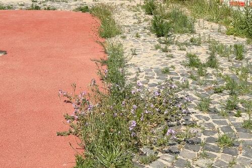 Il parco sul Tevere da due milioni di euro in malora dopo un anno