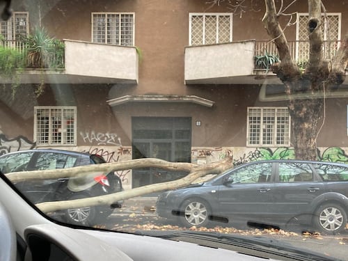 Il vento butta giù gli alberi: auto danneggiata all'Appio Latino