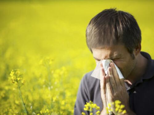 Allergie, due giorni per la prevenzione