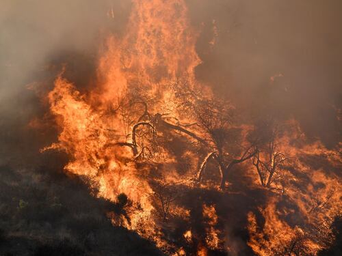 In migliaia in fuga dalla California devastata dagli incendi