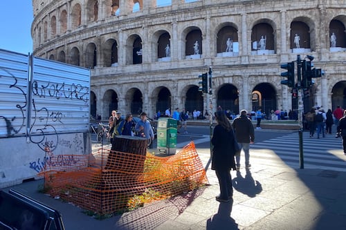 Quel tronco di pino abbandonato davanti al Colosseo #lafotodeilettori