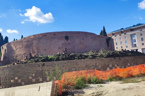 Addio ai cipressi del Mausoleo di Augusto. "Erano in cattivo stato"